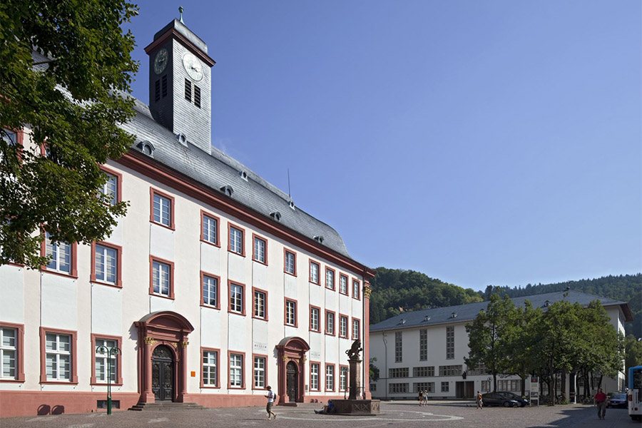 Heidelberg University